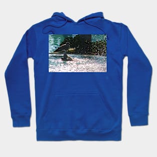 Splish splash Hoodie